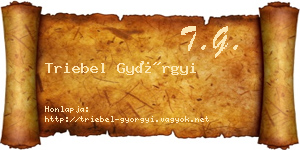 Triebel Györgyi névjegykártya